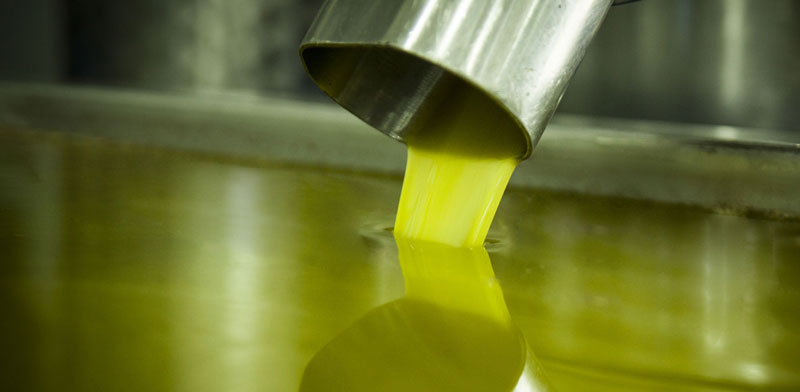 Estrazione dell'olio extravergine d'oliva